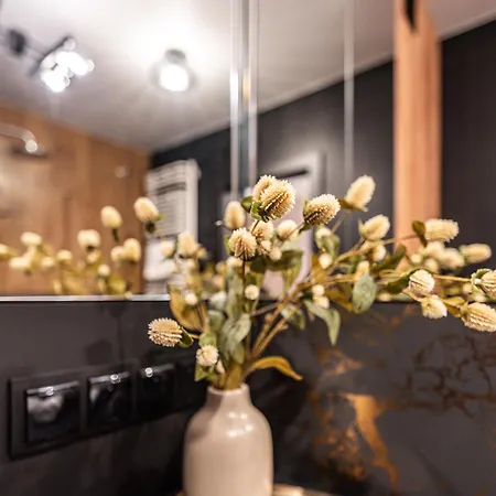 Rentplanet - Masarska Apartamento *